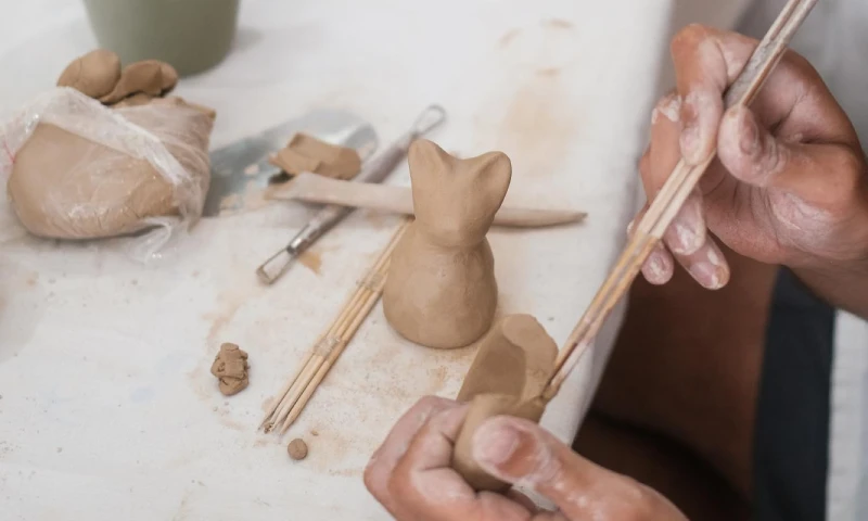 interventions institutionnelles psycholgue narbonne